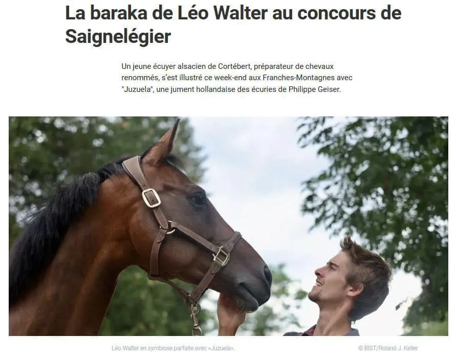 Jeune homme regardant affectueusement un cheval bai en licol, en extérieur