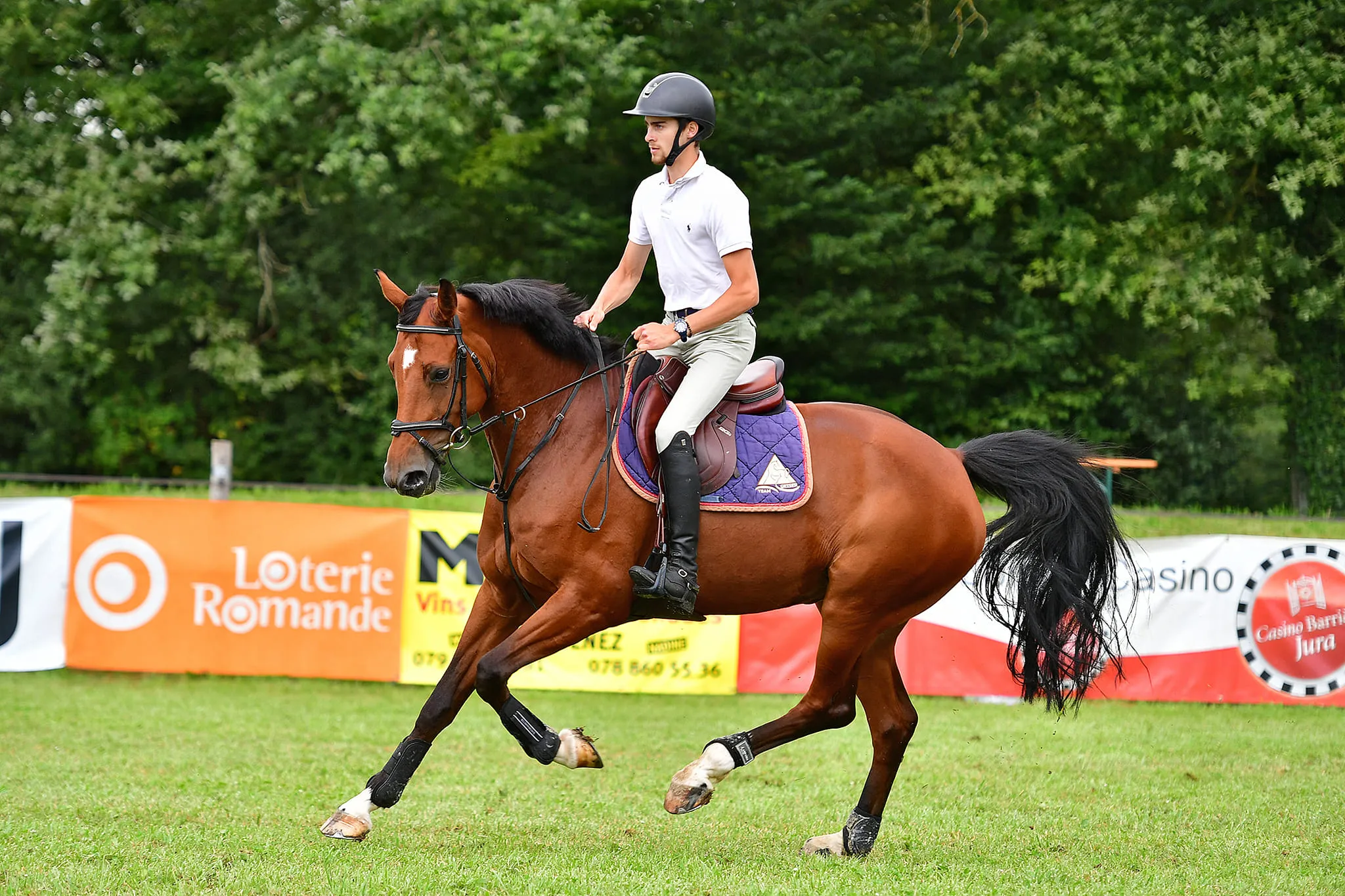 Cavalier au trot sur un cheval bai avec un tapis violet, devant des banderoles