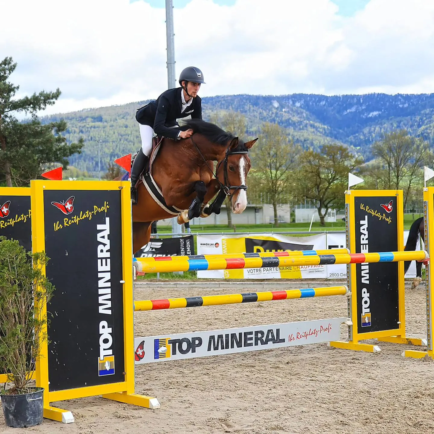 Cavalier en veste noire franchissant un obstacle coloré sur un cheval bai