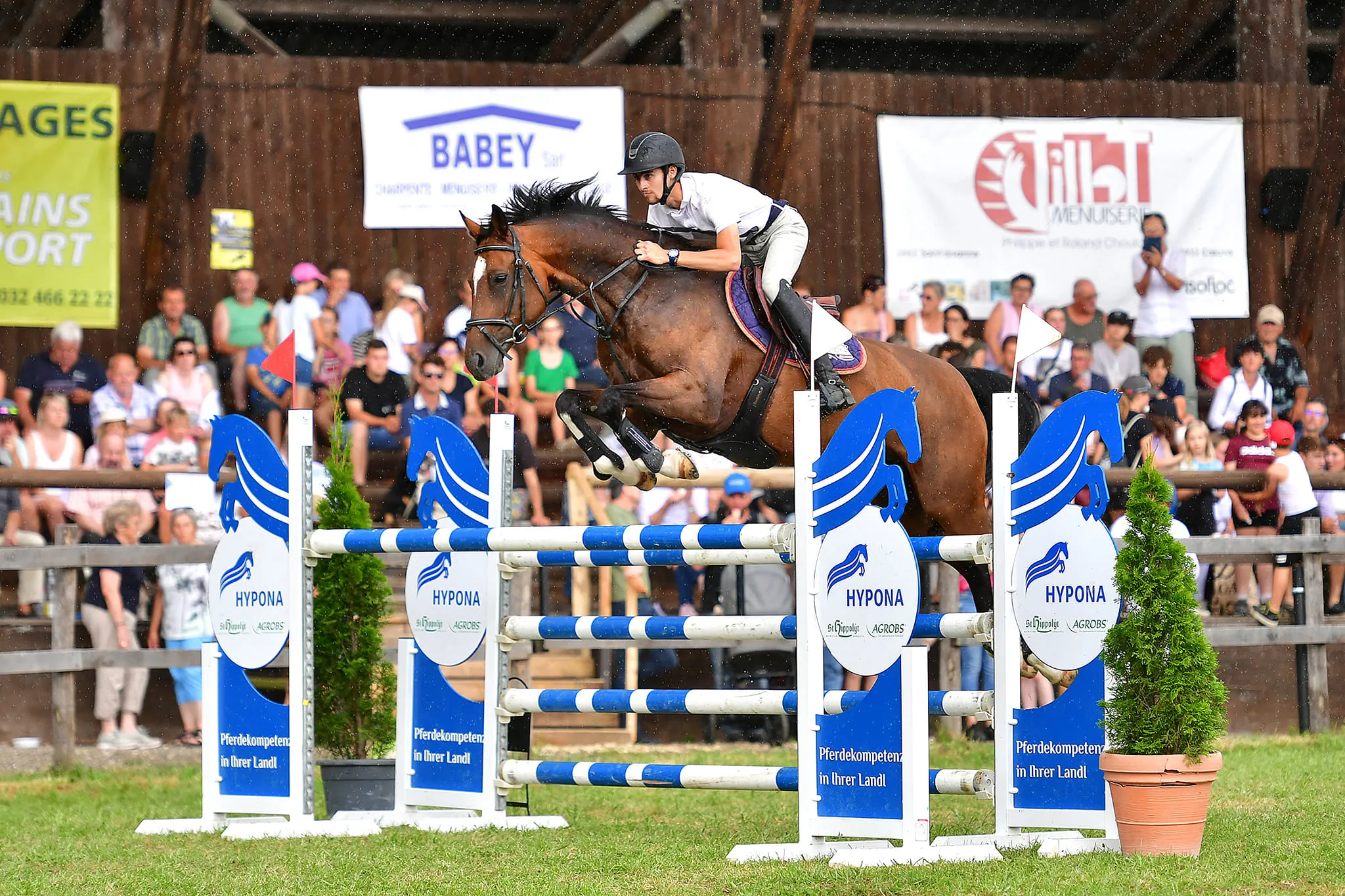 Cavalier franchissant un obstacle bleu et blanc sur un cheval bai, devant le public