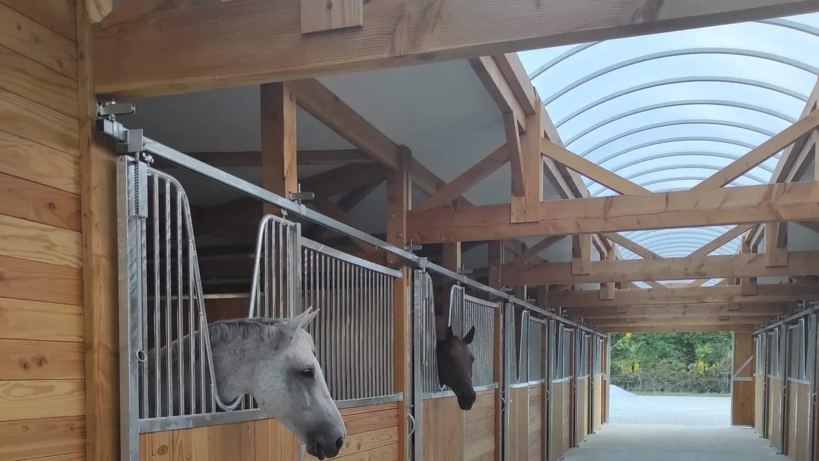 Couloir d’écurie couvert, chevaux à la grille de leur box